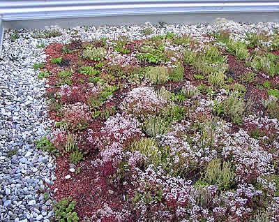 Flachdachabdichtungen