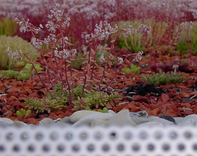 Flachdachabdichtungen